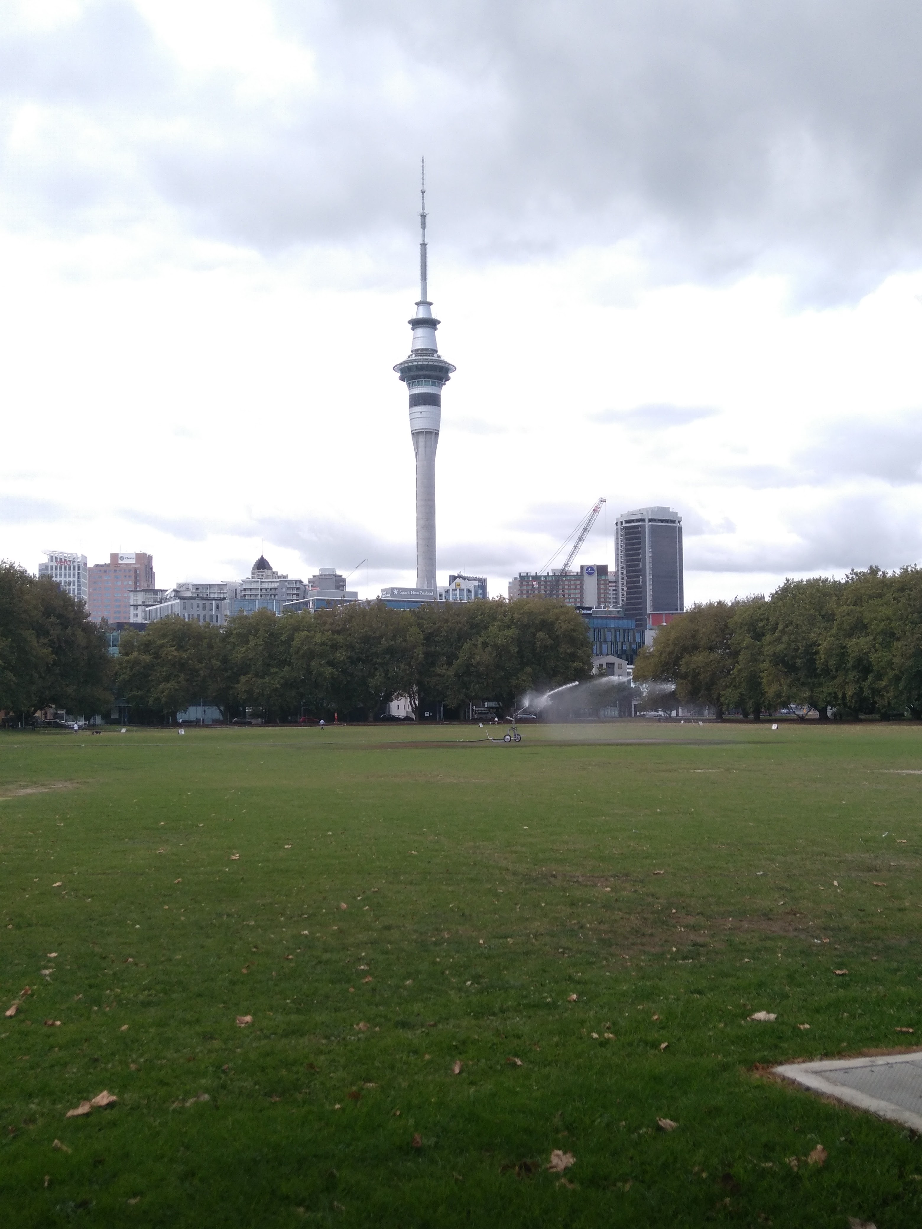 Auckland city Auckland city